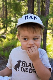 Taste Tester