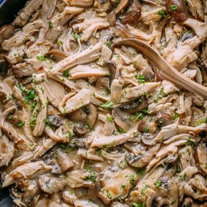 This Leftover Turkey recipe is by far my favorite way to use up leftover turkey! Turkey in creamy mushroom sauce is so easy and a big win in our family!