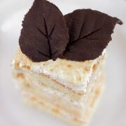 A piece of cake on a white plate garnished with chocolate leaves