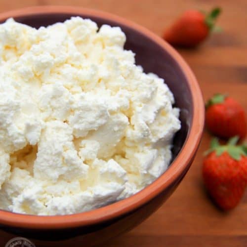 Farmers Cheese Tvorog Recipe Domashnij Syr