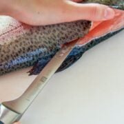 A trout being filleted on a cutting board