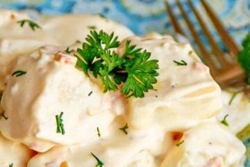 A plate with potatoes in alfredo sauce
