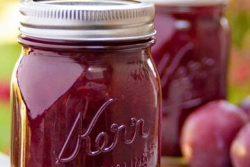This two-ingredient plum jam recipe is really a cross between plum jam and plum preserves. It's awesome paired with breakfast pancakes or crepes.