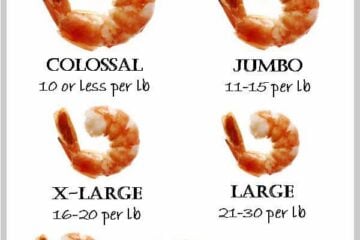 A shrimp size chart
