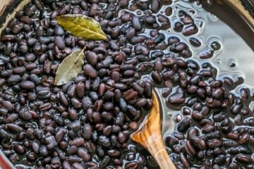 How to Cook Dried Beans: Easy and freezer friendly! Home cooked beans can be used for any recipe that calls for canned beans (BPA free!) | natashaskitchen.com