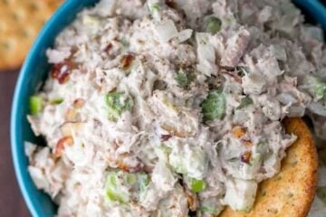 Apple Tuna salad in bowl with crackers