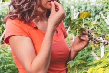 Vegetable Garden Tour Video - See how the master gardeners plant their garden | natashaskitchen.com