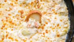 This Hot Shrimp Dip is the ultimate game day or party appetizer. It is creamy, cheesy and loaded with shrimp and artichokes.