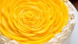 This mango cake is bursting with fresh mango flavor! An impressive, show-stopping mango cake recipe with only 9 ingredients. It is surprisingly simple. | natashaskitchen.com