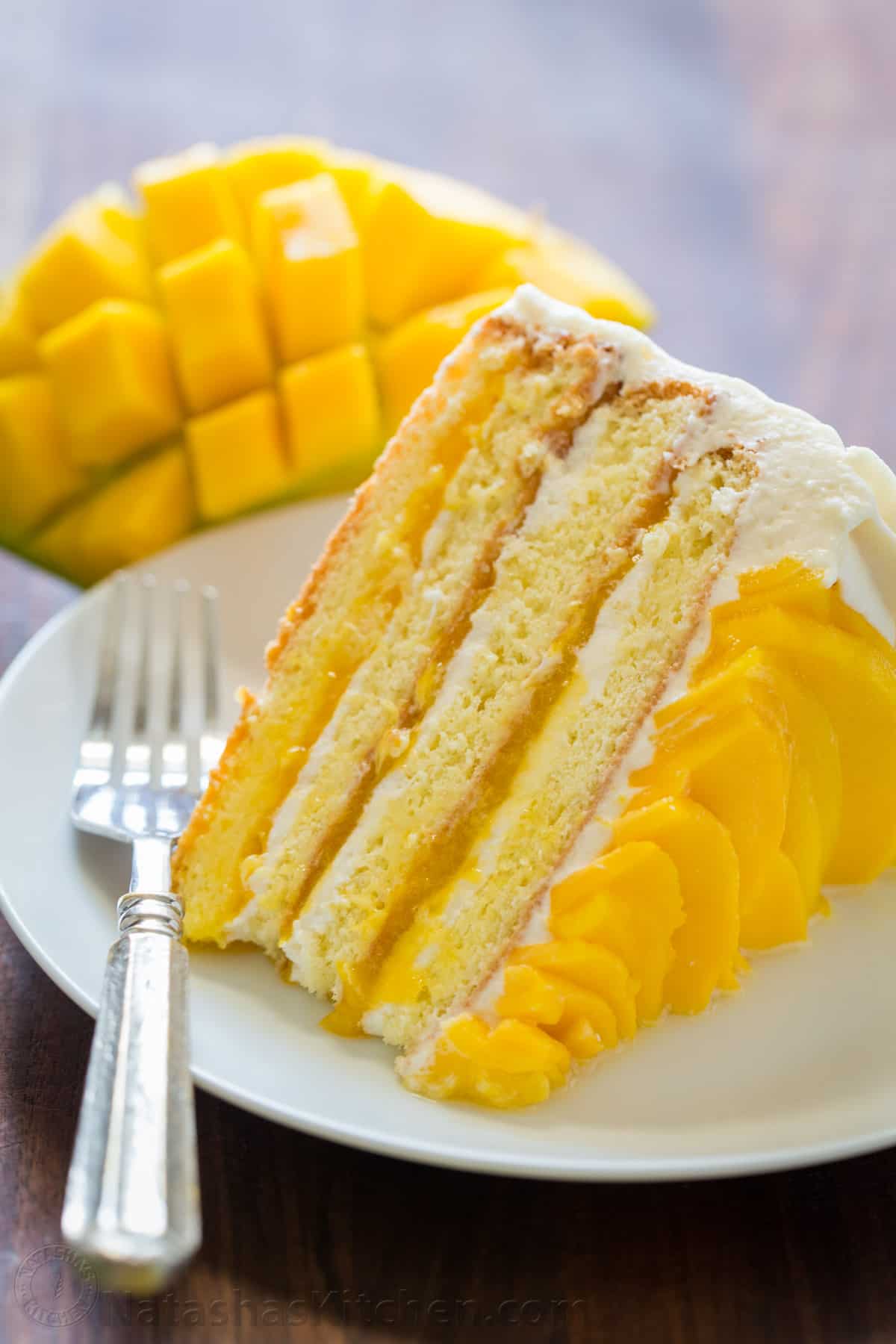 Best Mango Recipes Mango Recipes BYTKCK Best Mango Recipes Mango Recipes BYTKCK