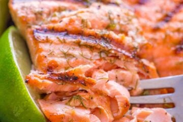 Grilled salmon on a blue plate flaked with a fork