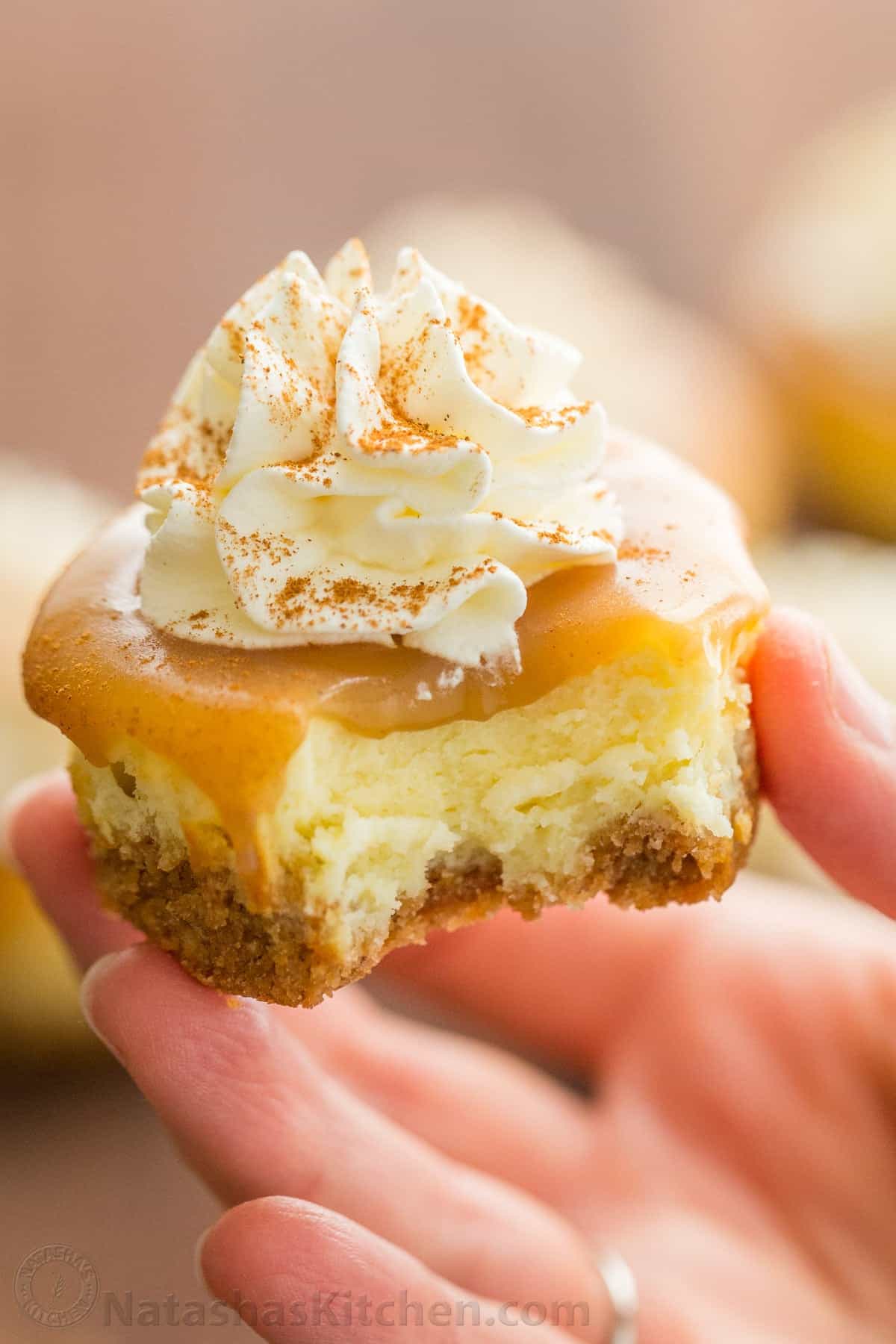 Mini Cheesecakes with Caramel Sauce (VIDEO) 