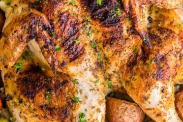 This Spatchcock chicken recipe is our favorite way to roast a whole chicken. Every part of the roasted chicken turns out juicy and so flavorful with that garlic herb butter. Easy and delicious one pan chicken dinner! | natashaskitchen.com