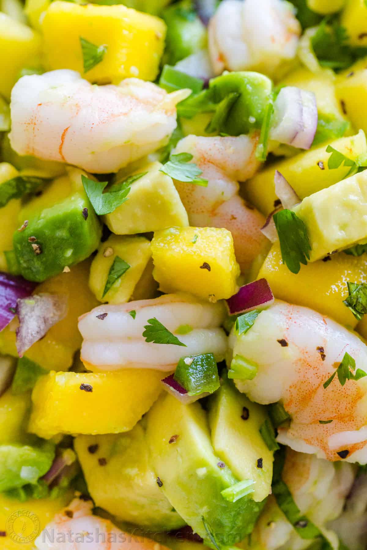 Mango Shrimp Salsa - Image 4