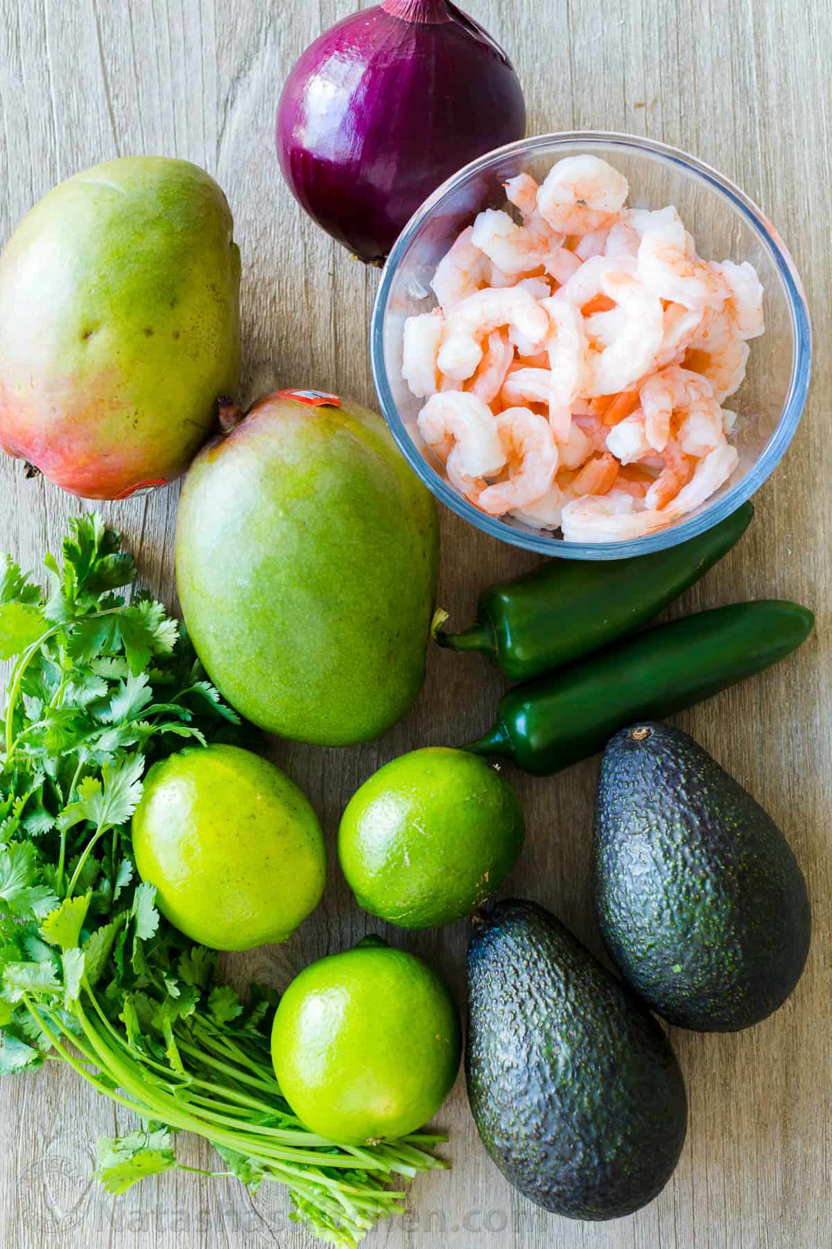 Mango Shrimp Salsa - Image 2