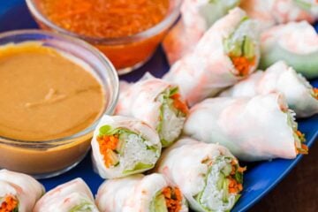 Vietnamese spring rolls with dipping sauce