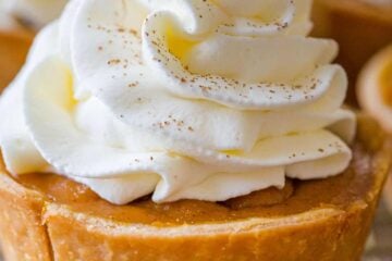 Mini pumpkin pie topped with whipped cream