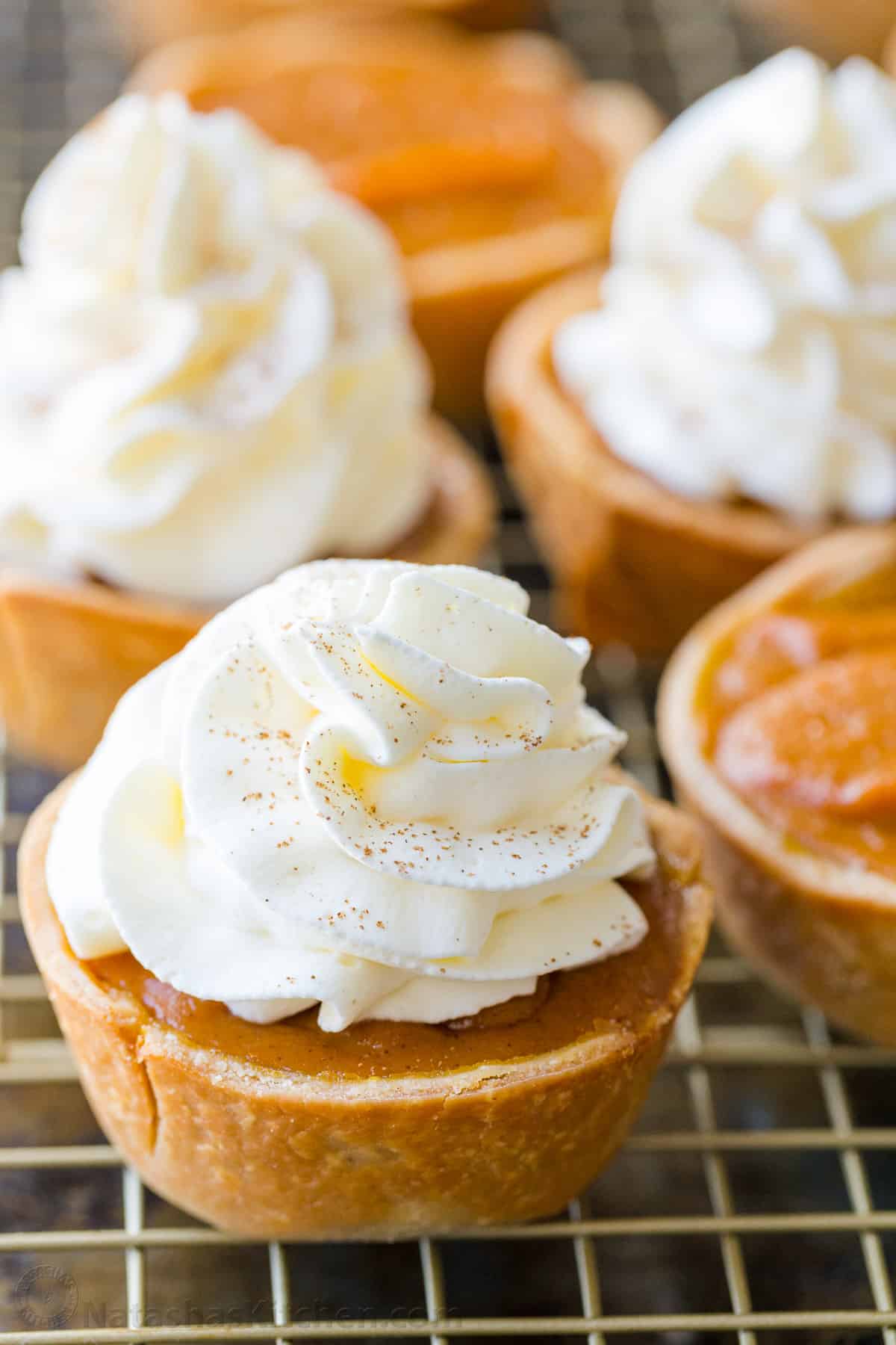 Mini Pumpkin Pies - Image 2