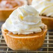 mini pumpkin pie with whipped cream and cinnamon
