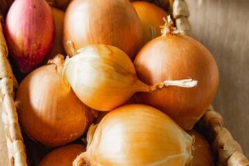 whole onions ready for slicing