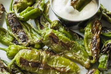 Blistered shishito peppers on plate with small bowl of dipping sauce