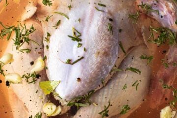 A whole turkey submerged in a salty brine with garlic and herbs