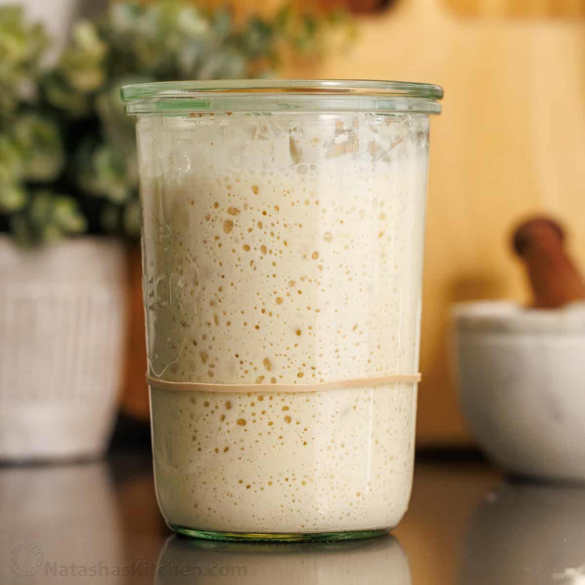 Sourdough Starter Recipe (VIDEO)-image