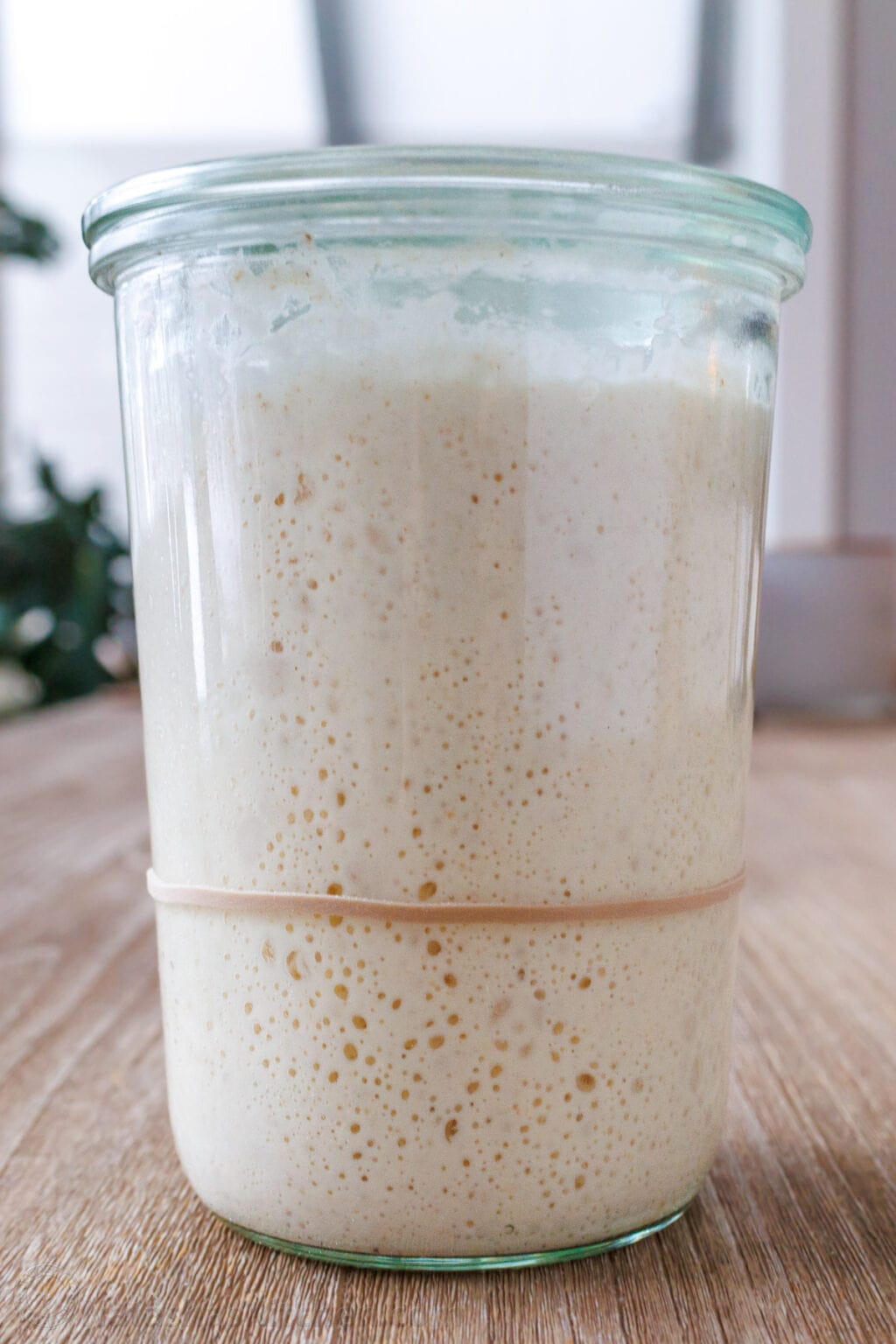How To Feed Sourdough Starter NatashasKitchen how-to-feed-sourdough-starter-natashaskitchen