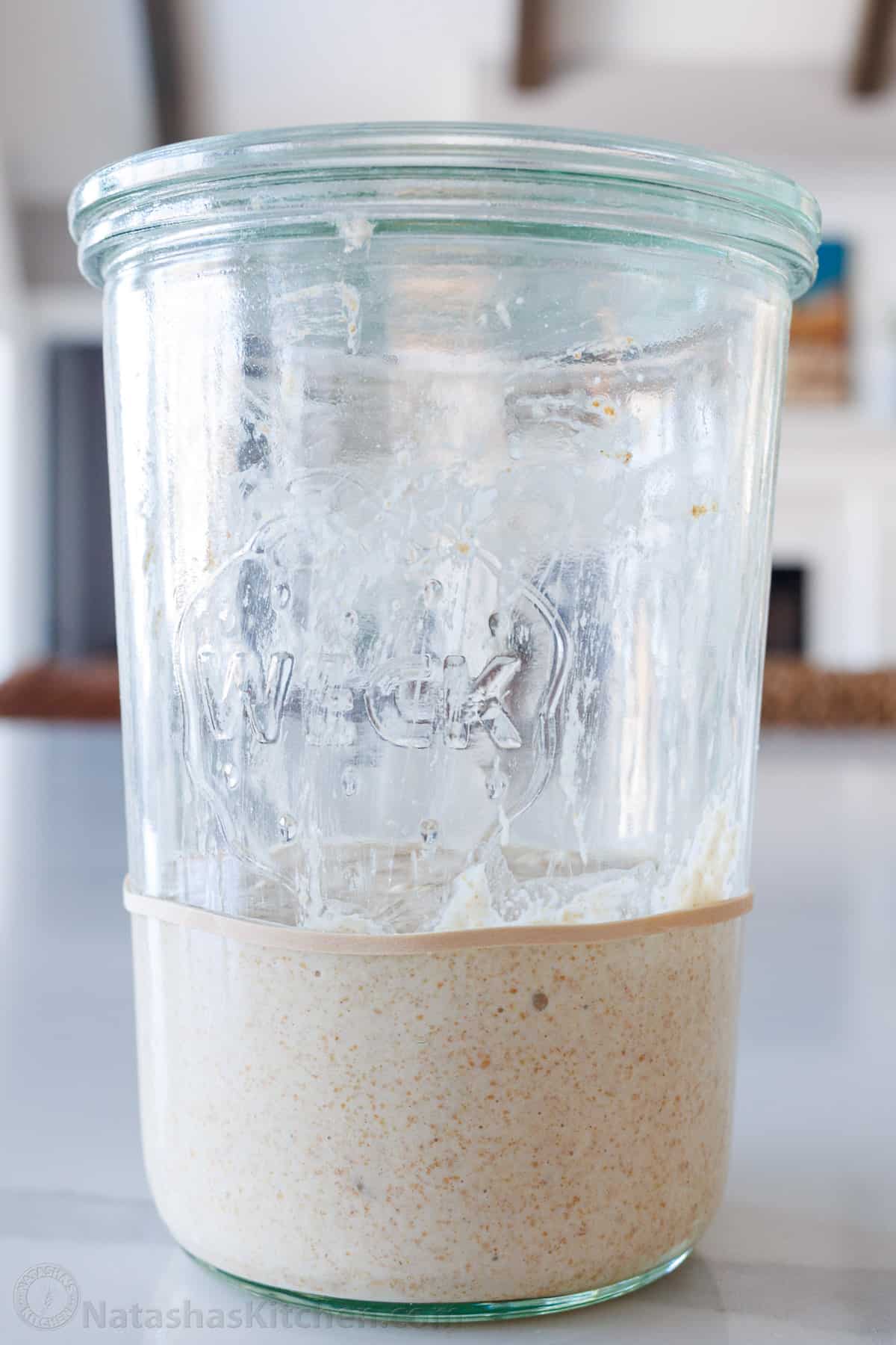 How To Feed Sourdough Starter NatashasKitchen how-to-feed-sourdough-starter-natashaskitchen