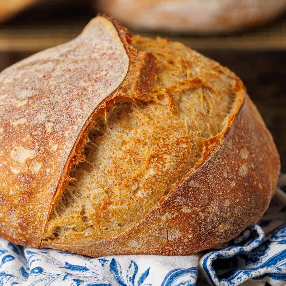 Sourdough Bread Sourdough Artisan Bread Sourdough Bread Sourdough Artisan Bread