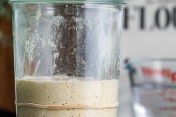 how to feed sourdough starter using flour and water