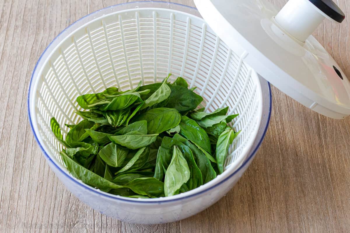 Fresh basil leaves in salad spinner