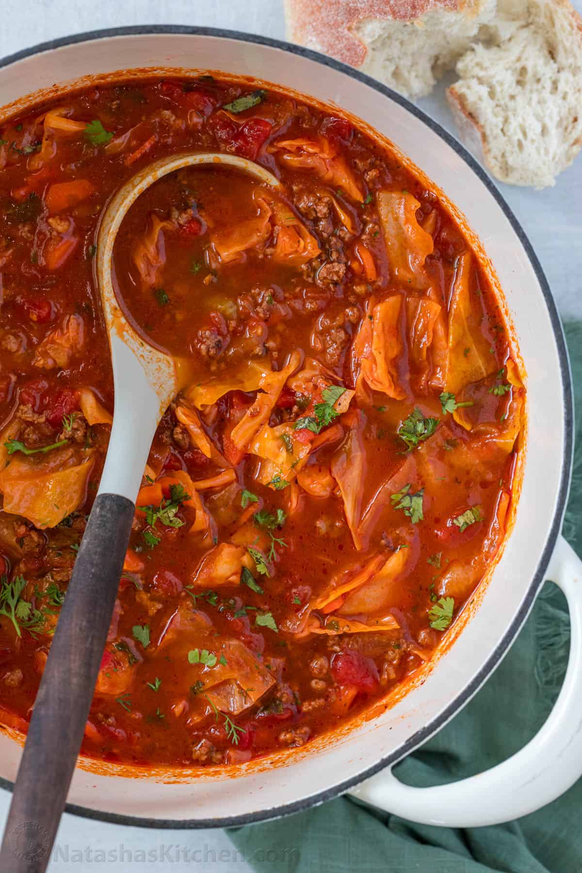 Dutch Oven with Cabbage soup and a ladle