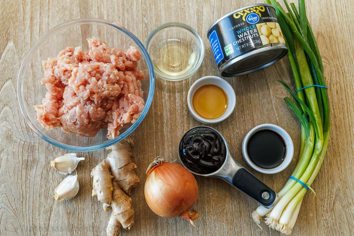 ingredients for Asian 30-minute meal including ground meat, ginger, onion, hoisin sauce, sou sauce, rice wine vinegar, water chestnuts and green onions