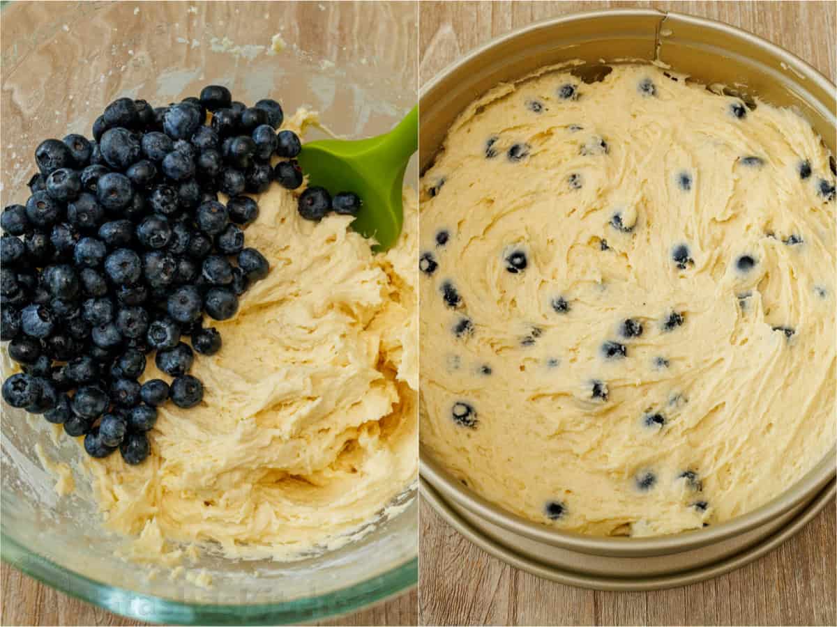 blueberry coffee cake batter spread into a spring form pan with blueberries