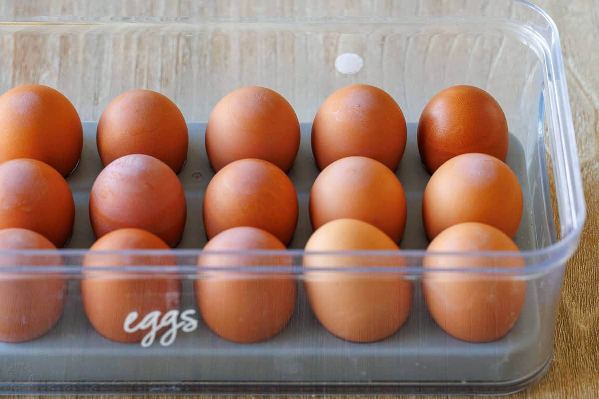 brown eggs in a plastic egg container