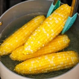 Tongs removing Boiled corn on the cob from a large stockpot with boiling water