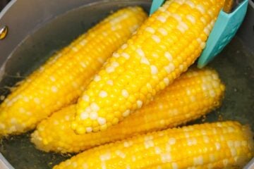 Tongs removing Boiled corn on the cob from a large stockpot with boiling water